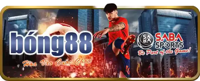 Cá cược bóng rổ tại ku11bet code