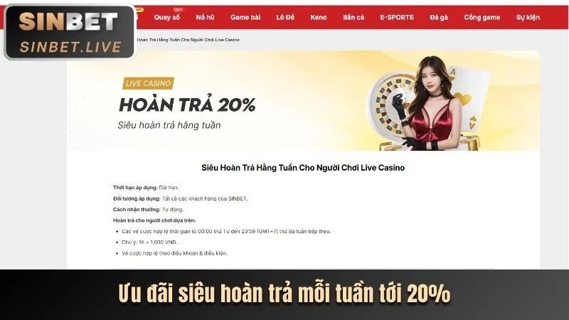 Hình ảnh các chương trình khuyến mãi và ưu đãi